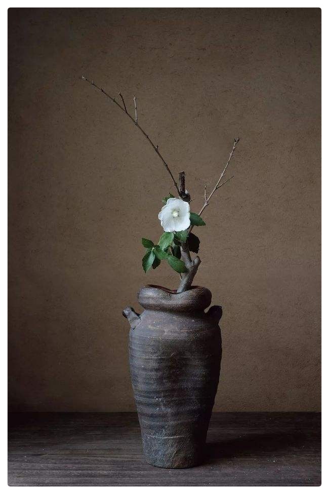 芸娘与我 ∥ 作者：湖畔烟树 ∥ 诵读：老菩提（图7）