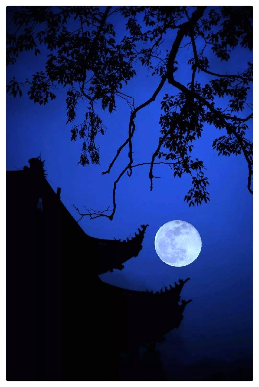 芸娘与我 ∥ 作者：湖畔烟树 ∥ 诵读：老菩提（图5）