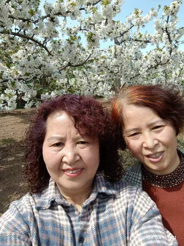 【雅诗总会】精美藏头诗欣赏《勿忘国耻》(外五首)‖作者:白莲/腊梅（图4）