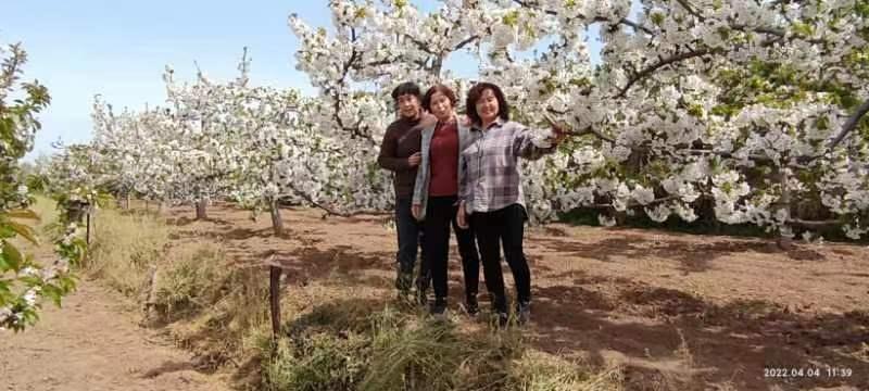 【雅诗总会】精美藏头诗欣赏《勿忘国耻》(外五首)‖作者:白莲/腊梅（图5）
