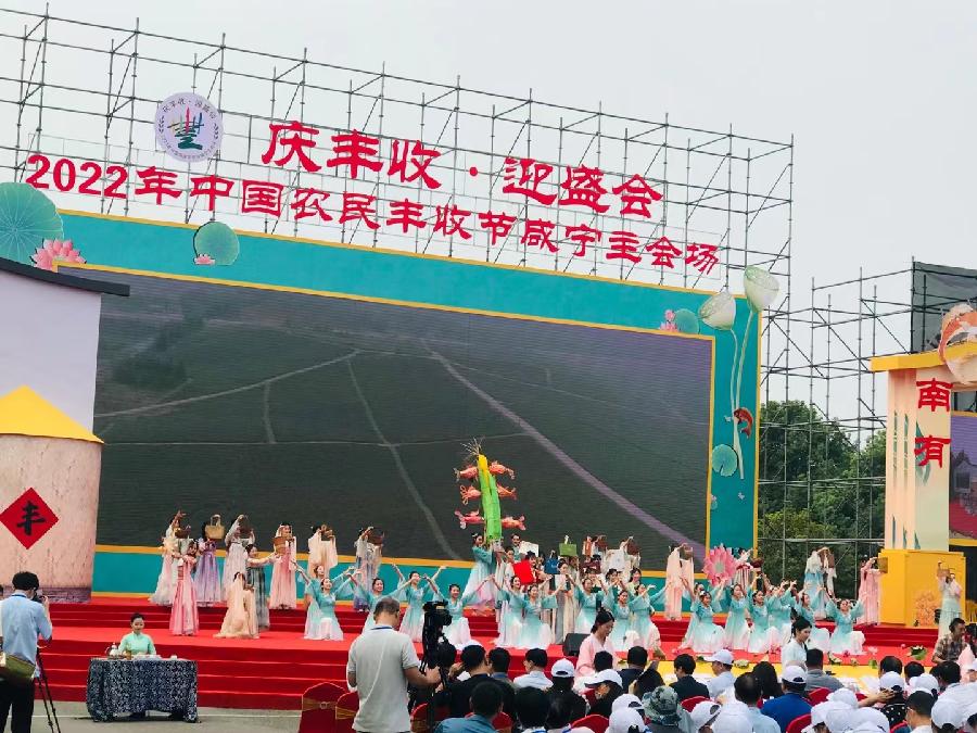 《亲临2022年农民丰收节现场感吟》作者：沈俊杰（图14）