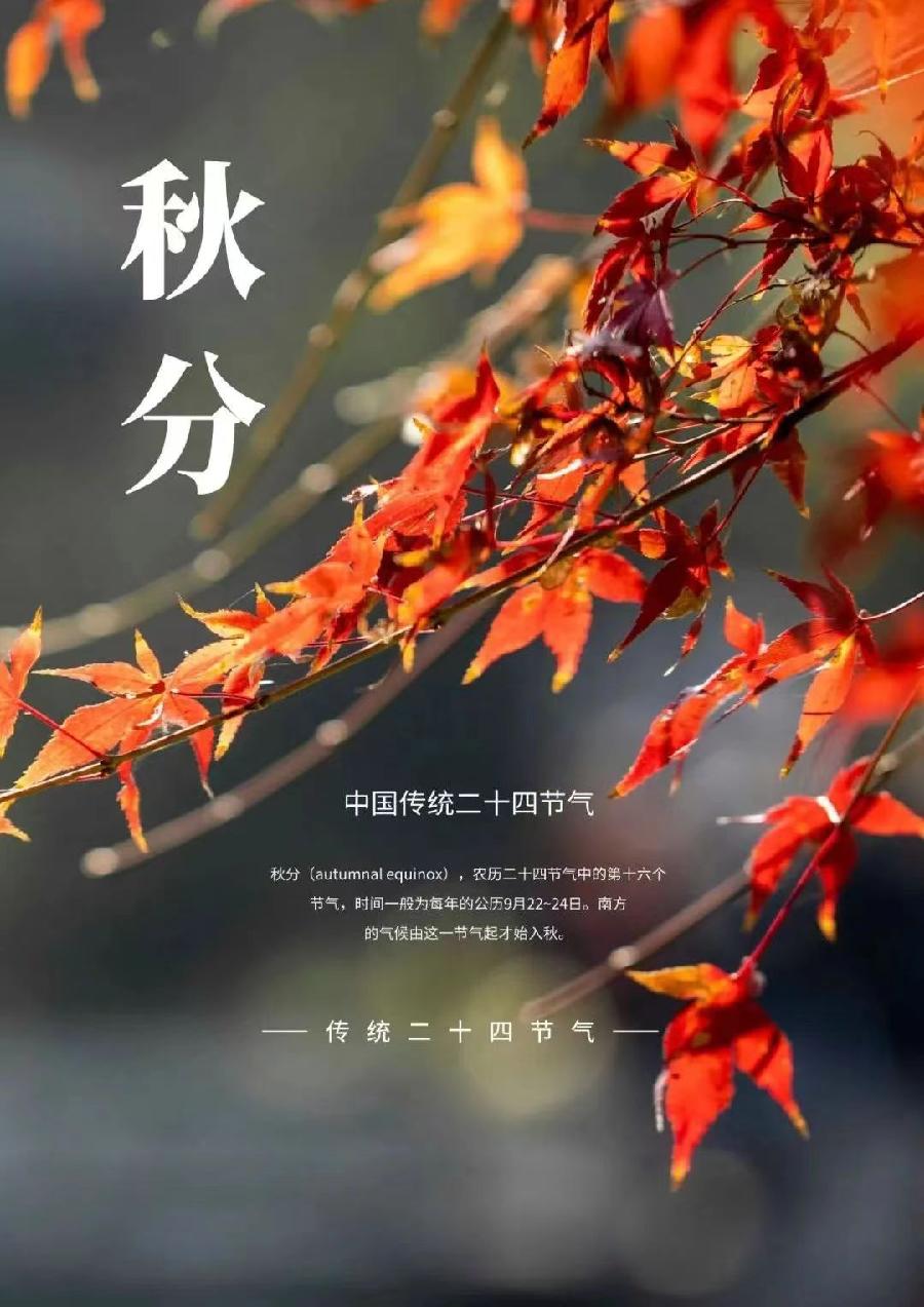 《秋分》（原创）张跃堂（北京）（图2）