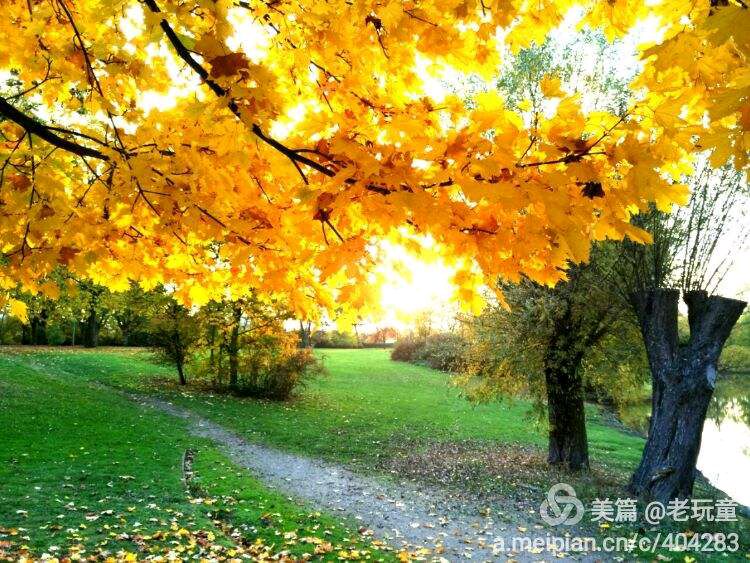〔格律专辑一〕七律（秋韵）文／李文清（北京）【冰心文化传媒】（图27）