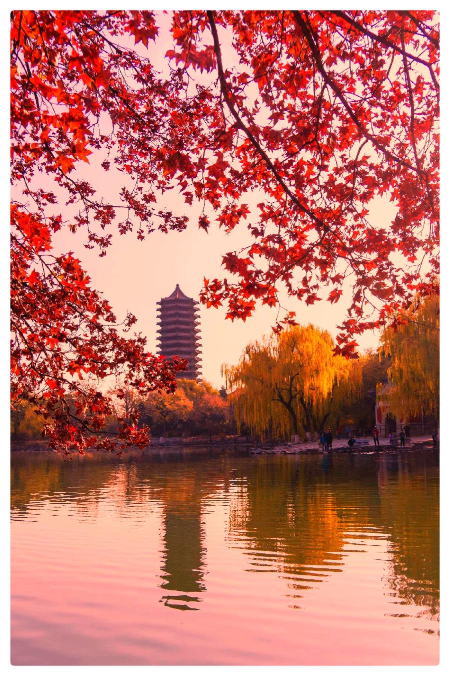 未名的爱情 作者:湖畔烟树 诵读:老菩提(图5)
