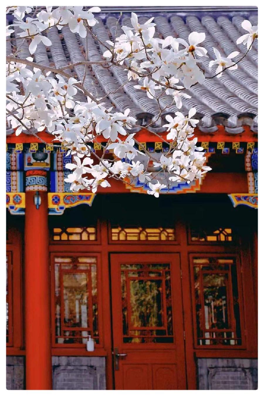 未名的爱情 作者:湖畔烟树 诵读:老菩提(图11)