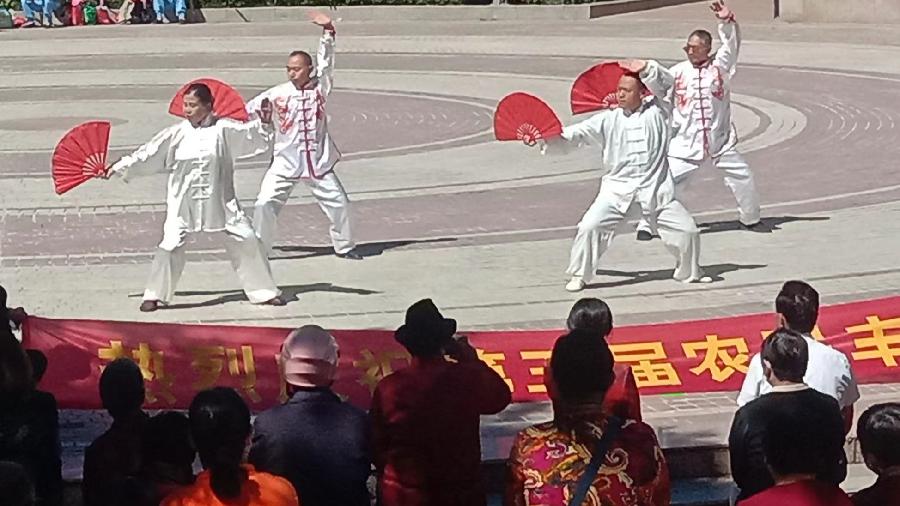 喜庆农民丰收节 载歌载舞感党恩(图7)