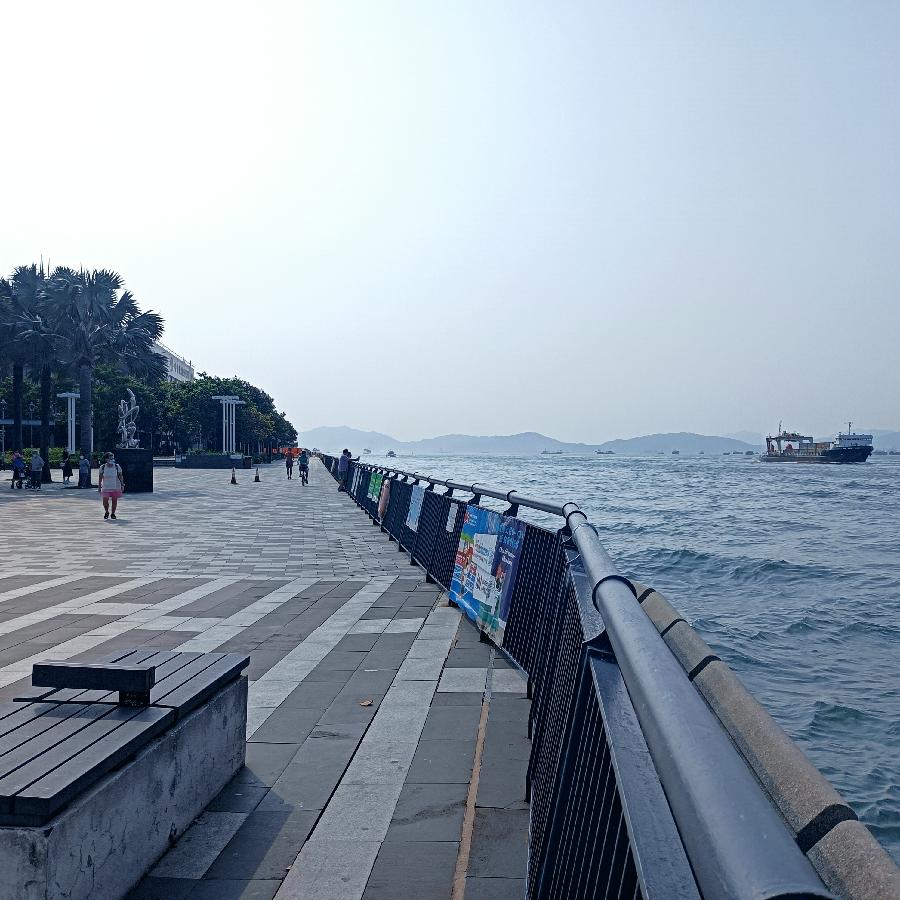 海边随拍（图11）