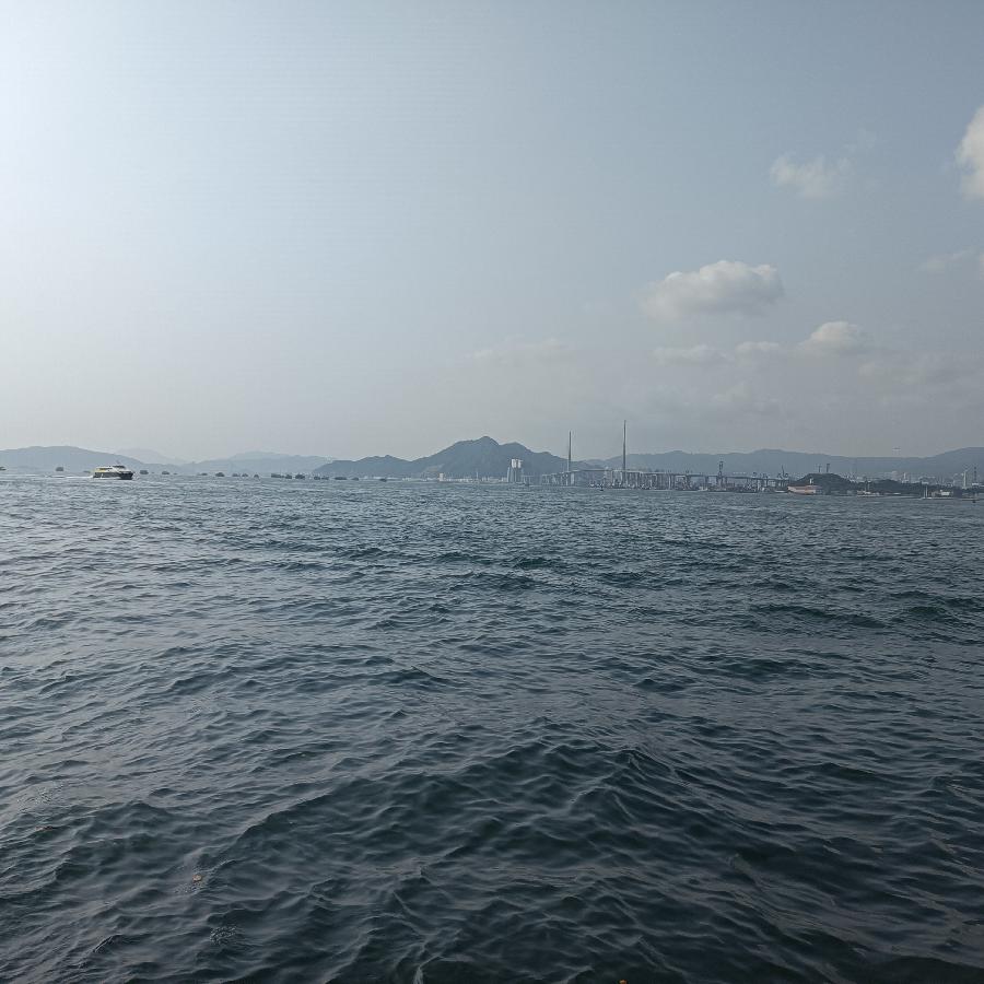 海边随拍（图12）