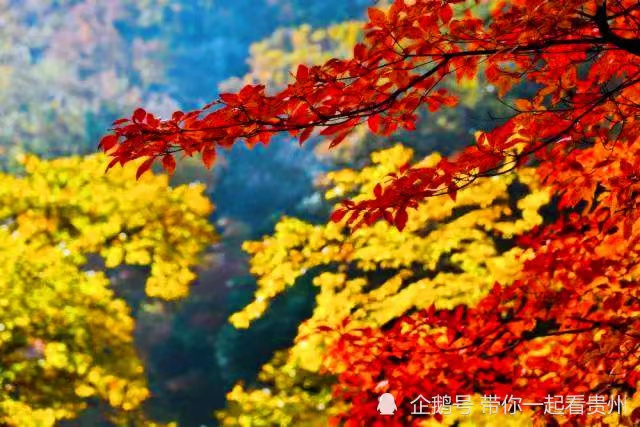 国风上海社风彩荟萃诗刊(第一期)—北京头条（图19）