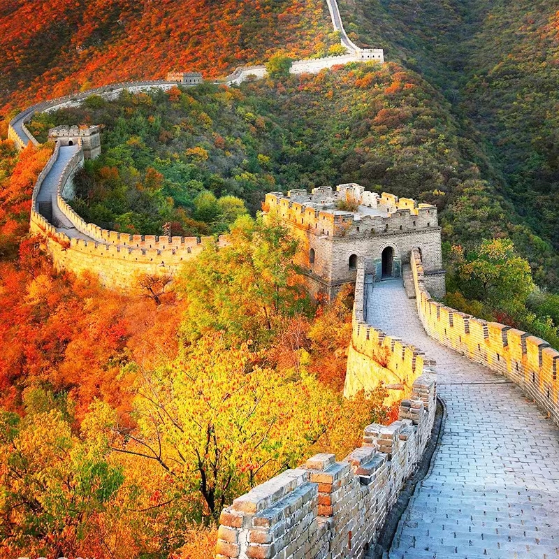 《中国文化，你从哪里来》（外一首）文/周峰【追梦者总社】世界诗人名人展（9166）（图3）