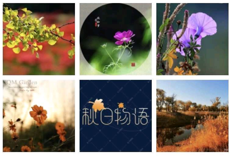 〔诗词小辑〕文/风鸽（张晓峰）【冰心文化传媒】（图6）