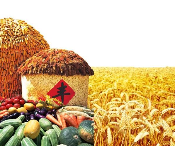 《三农风貌已改装吟》联机全球发布袁华成精品诗歌（图4）