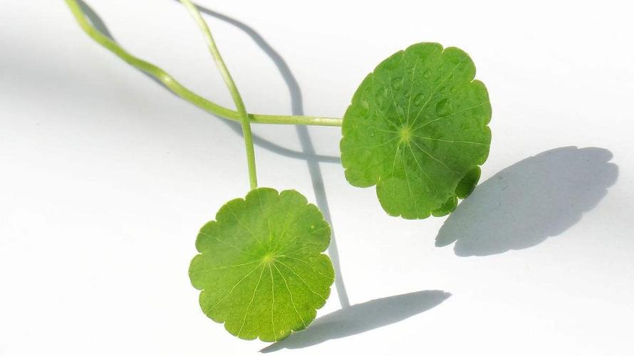 李路祥老师诗词欣赏（图3）