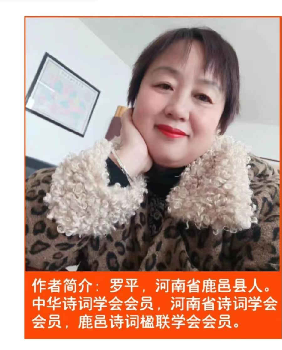 七绝：重阳/文/罗平（图2）