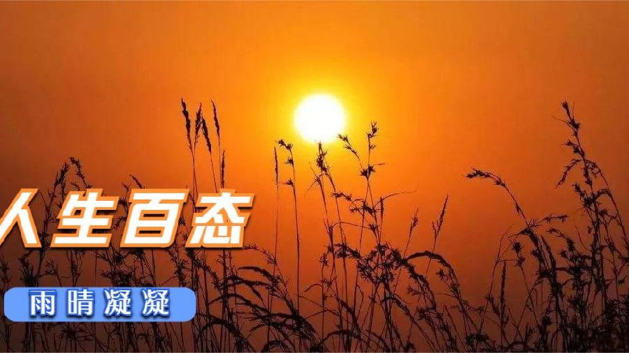 《闲话人生》作者:杨炳阳(图2)