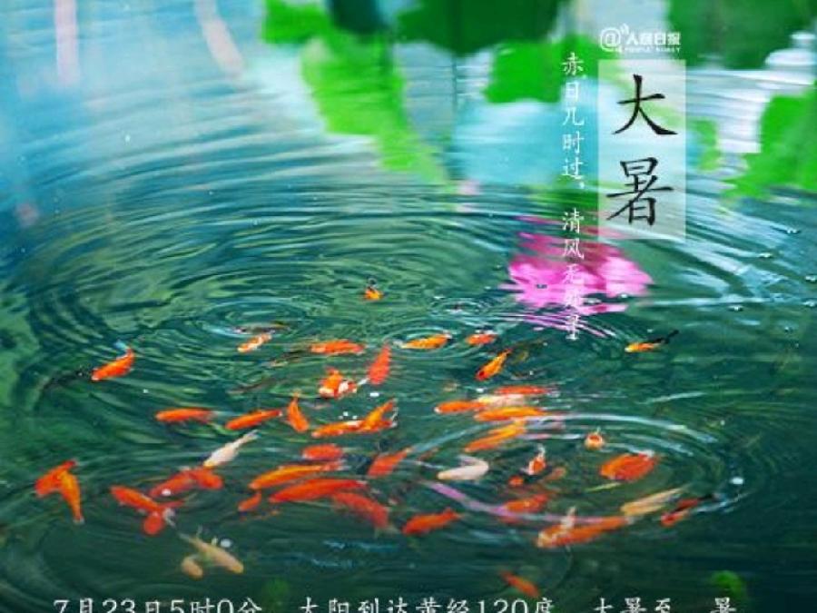 《有声文学》《名家专刊》【九江文学社：北京头条】《箴言：夏》作者/杨成贵 金牌主播/上善若水（图2）