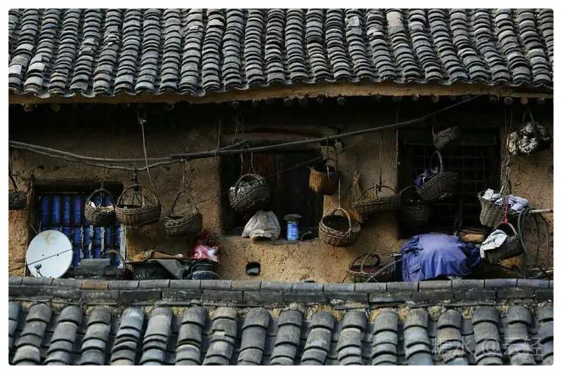 我不是诗人∥作者/摄影:云轻∥诵读:老菩提(图3)