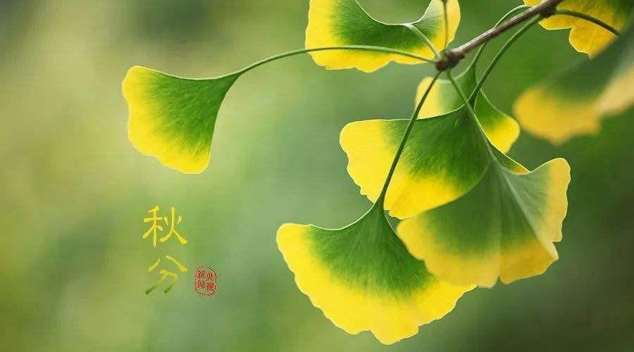 【潇湘文学社】潇湘陶菊诗社《总454期》（秋分）（图6）