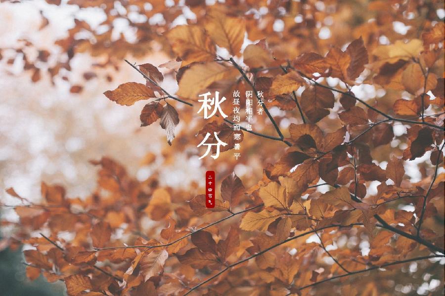 【潇湘文学社】潇湘陶菊诗社《总454期》（秋分）（图14）