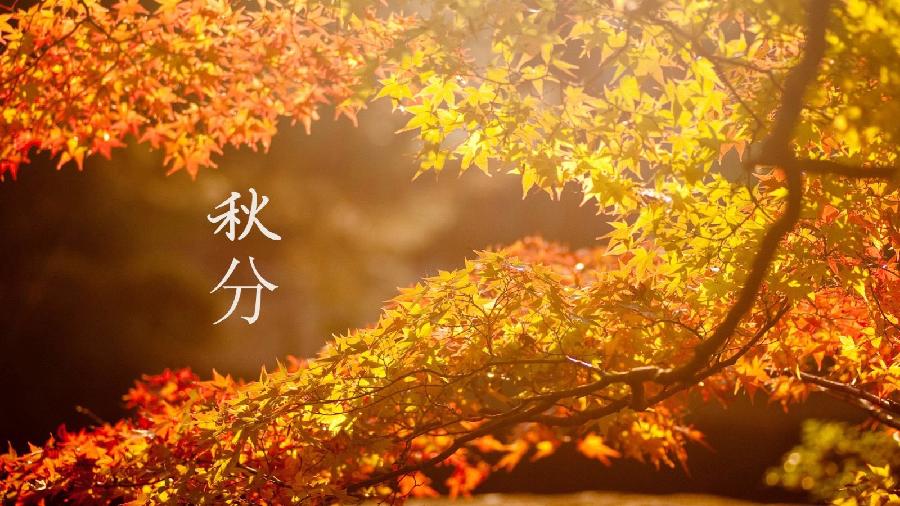 【潇湘文学社】潇湘陶菊诗社《总454期》（秋分）（图16）