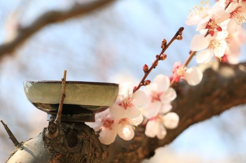 福香老师诗词欣赏（图4）