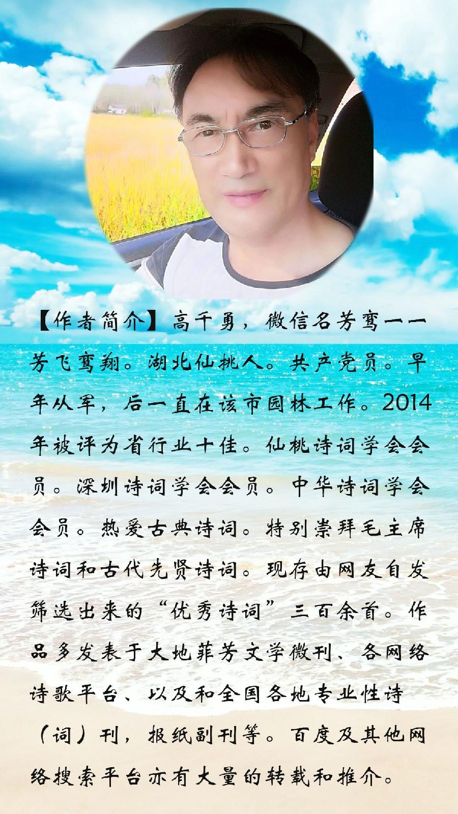 中华诗艺龙江分社推介/芳鸾:蝶恋花、（新韵）芦倚深秋(外一首)（图3）