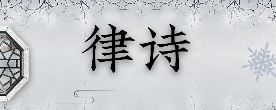 【枫雅汇看图约诗】第254期《残荷》（图4）