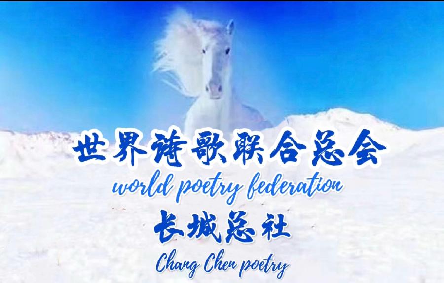 《腾飞吧 中国 》文/乔新华【长城总社】世界诗人名人展（9169）（图7）