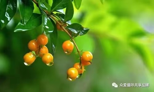 崔鸿福诗词选（图2）