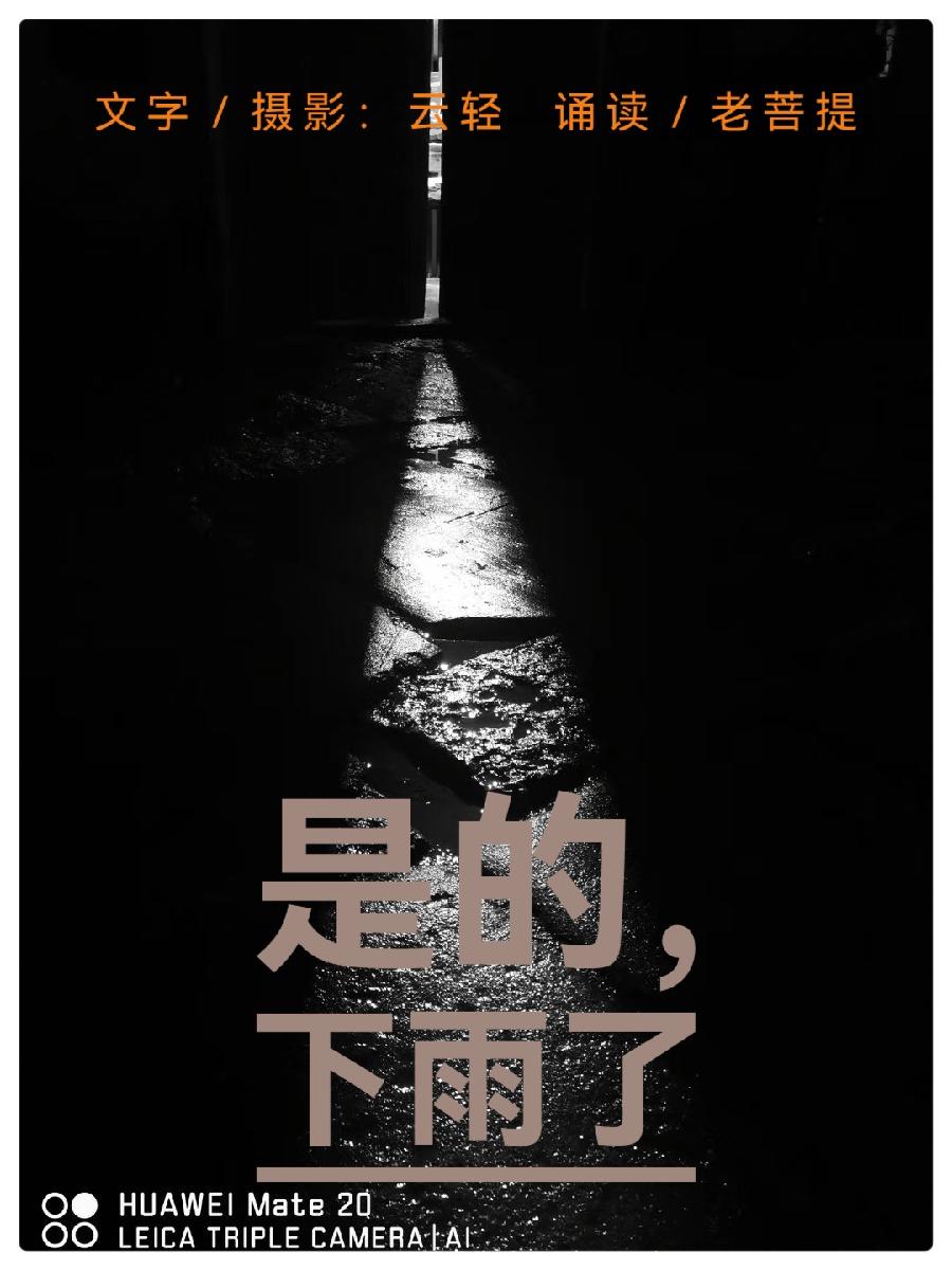 《是的,下雨了》文·摄影:云轻 诵读:老菩提(图2)