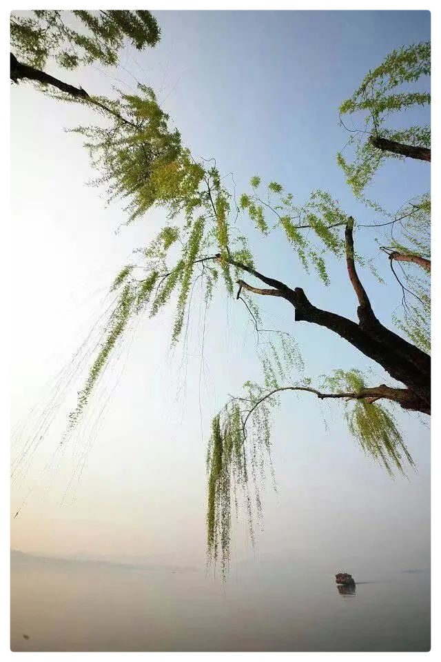 《是的,下雨了》文·摄影:云轻 诵读:老菩提(图7)