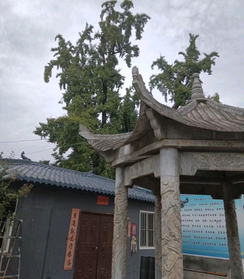 秋游十八湾（外三首）文／陇上（陇南）【冰心文化传媒】（图3）