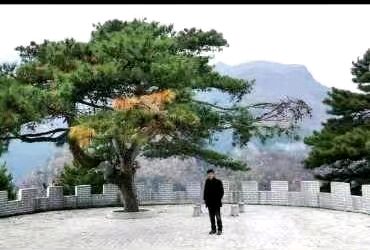秋游十八湾（外三首）文／陇上（陇南）【冰心文化传媒】（图11）