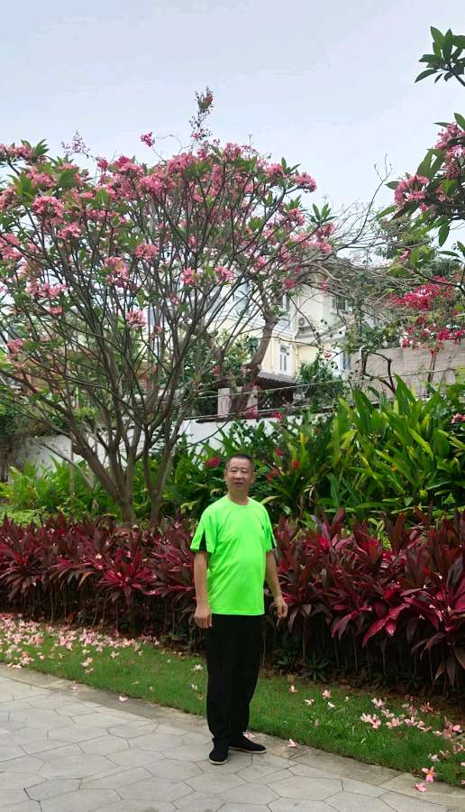 落叶 作者 张德群 京津沪头条（图9）