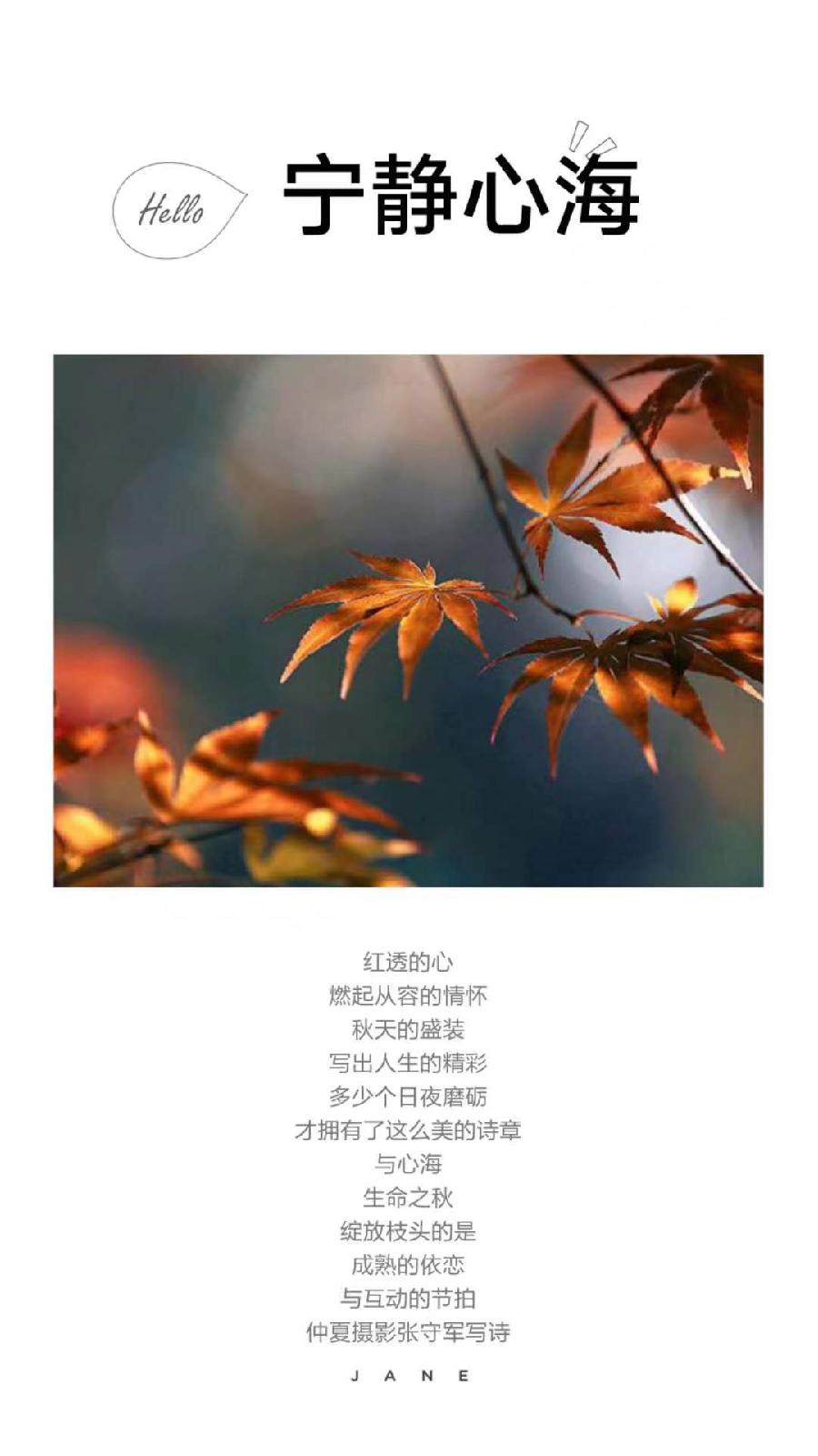 【雅诗总会】行走在艺海岸边——张守军诗书画作品一览（图14）