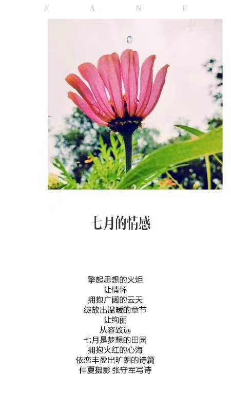 【雅诗总会】行走在艺海岸边——张守军诗书画作品一览（图16）