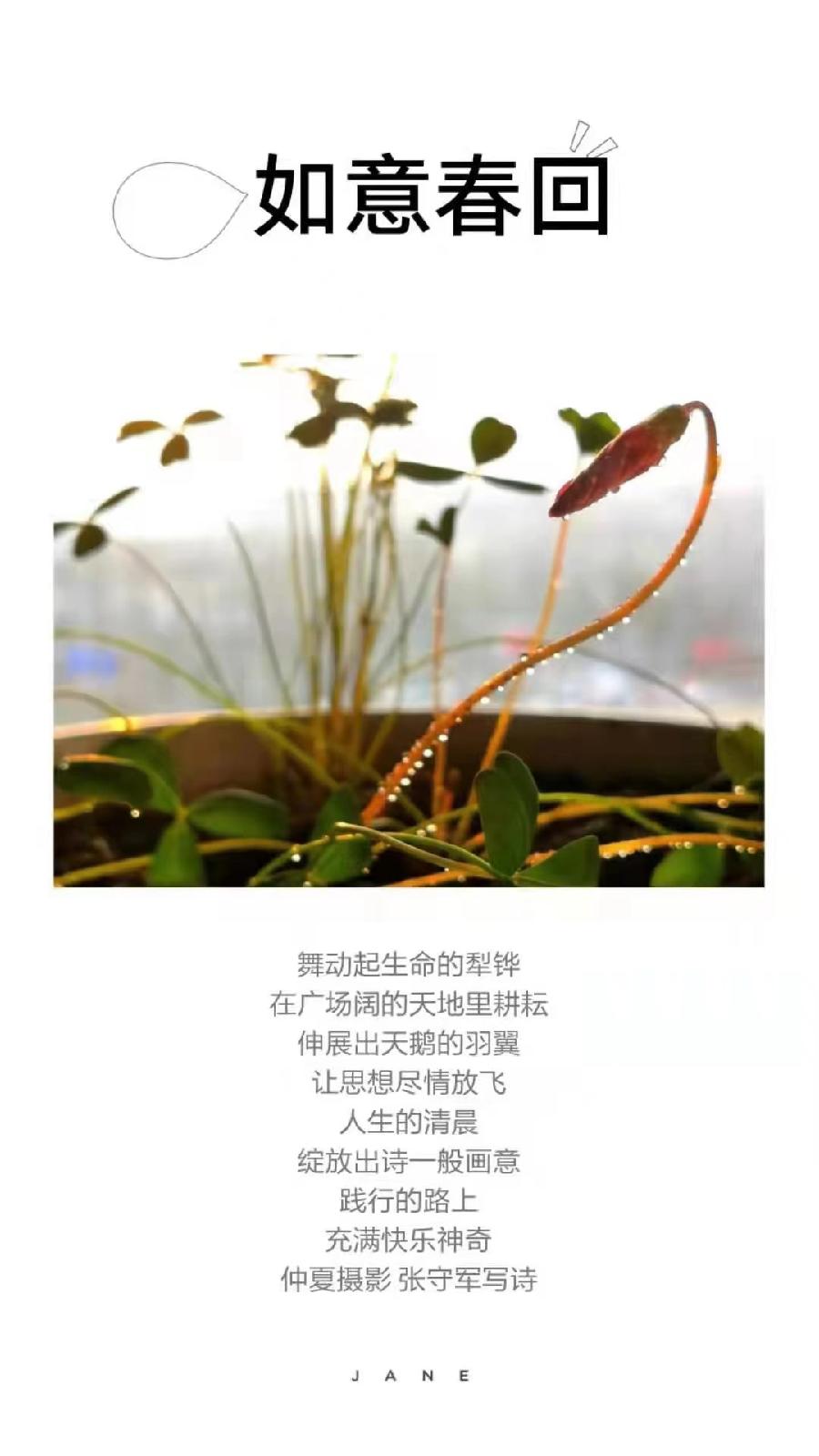 【雅诗总会】行走在艺海岸边——张守军诗书画作品一览（图20）