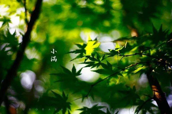 《七律十首 》 文/冯世荣（陕西）【冰心文化传媒】（图9）
