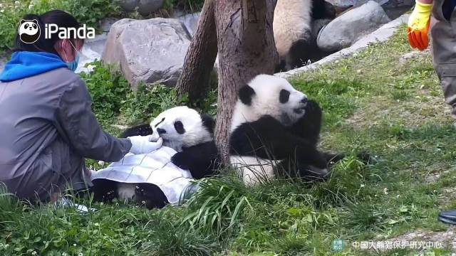 【北美翰苑亚洲社·格律诗词精品鉴赏】第五十一期(周刊)(图14)