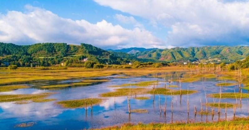 题图诗:秋‖巴彦诗协诗词卷【263】(图4)