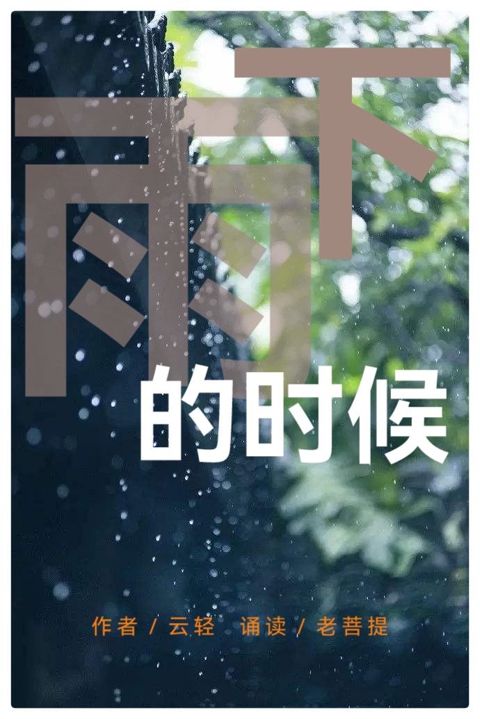 下雨的时候∥作者:云轻∥诵读:老菩提(图2)