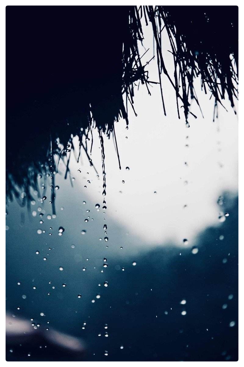 下雨的时候∥作者:云轻∥诵读:老菩提(图6)