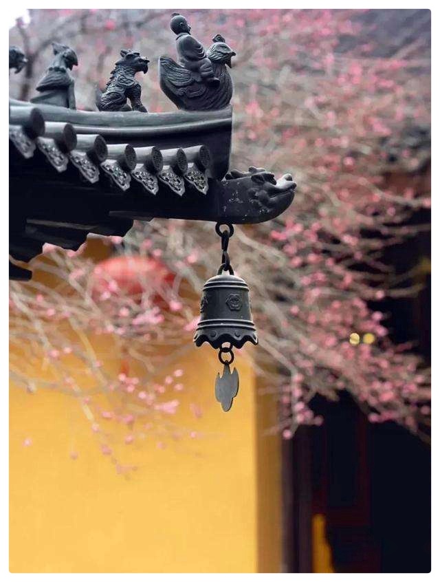 下雨的时候∥作者:云轻∥诵读:老菩提(图5)