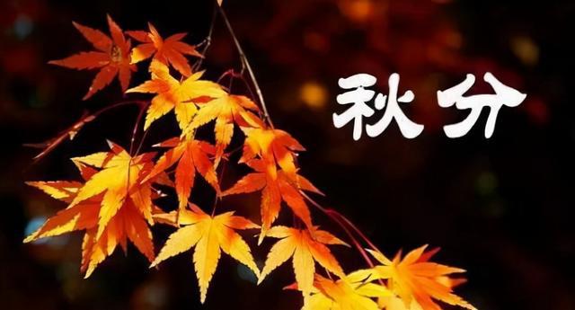 推荐【神州源流诗苑】第753期[原创佳词]周刊（图3）