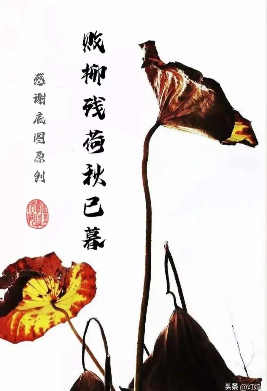 于占友(烟波钓徒) 原创诗词十首（图12）