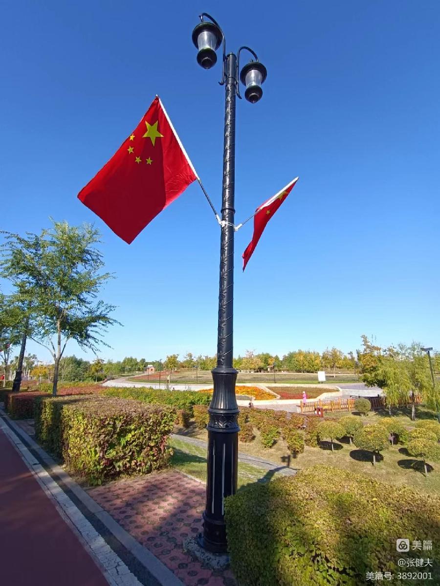 中华诗艺龙江分社推介/张健夫:双节将至聚友缘 赏葵揽胜谱新篇(图7)