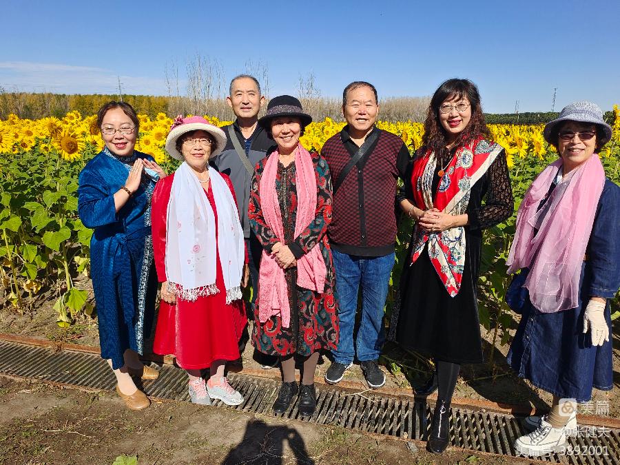 中华诗艺龙江分社推介/张健夫:双节将至聚友缘 赏葵揽胜谱新篇(图11)
