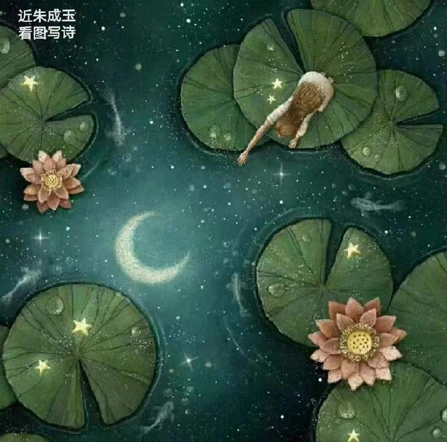 中华诗艺龙江分社推介/诗人林杨原创新诗:捞月（图3）