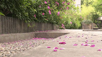 《中国爱情诗刊》【中国爱情诗人档案】(第4793期)山西诗人:刘灵智的诗(图4)