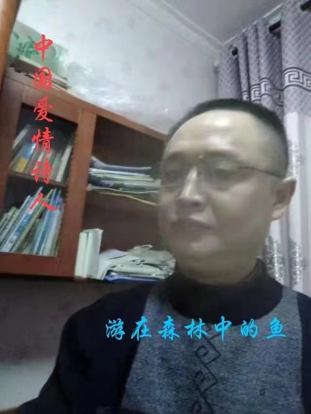 《中国爱情诗刊》【中国爱情诗人档案】(第4794期)陕西诗人:游在森林中的鱼的诗(图2)